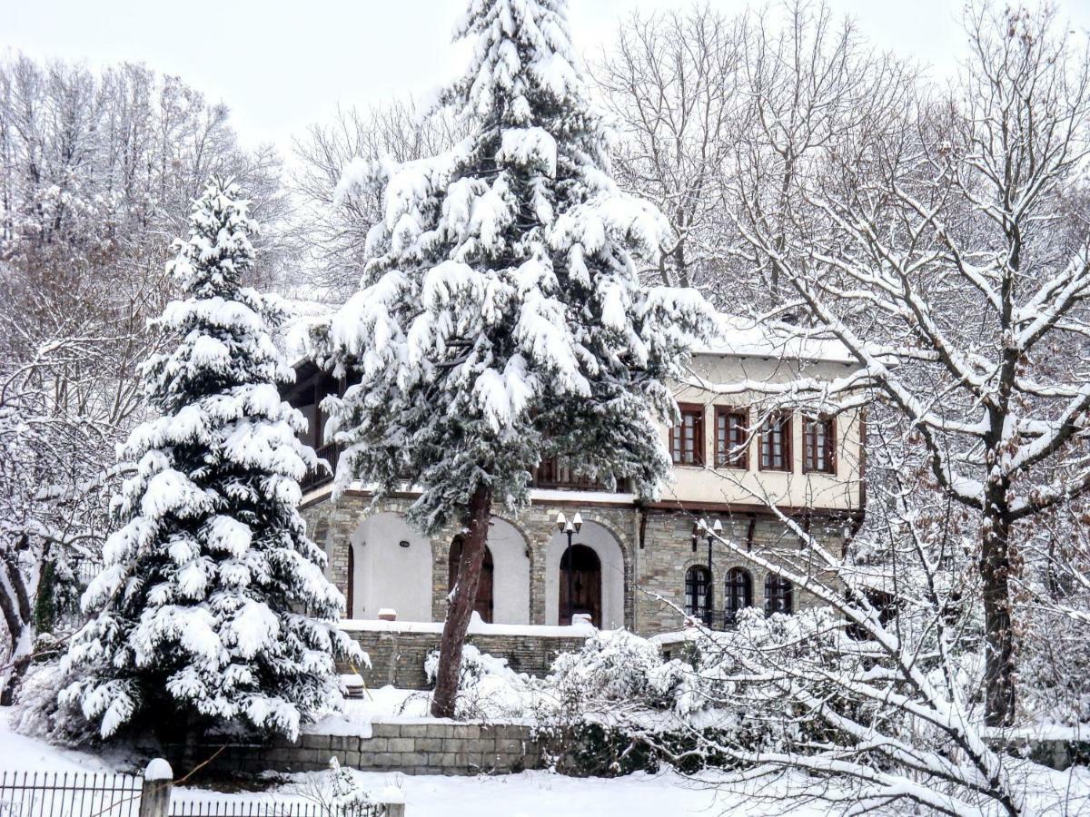 Zenios Dionysos - Traditional Villa Grevena Exteriör bild